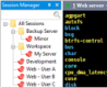 Session-manager
