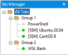 p-feature-xsh-tab-manager